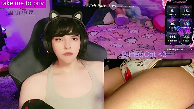 BimboCat Show in webcam
