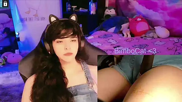 Pertunjukan Kamera Web BimboCat