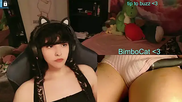 BimboCat: διαδικτυακό σόου στην κάμερα
