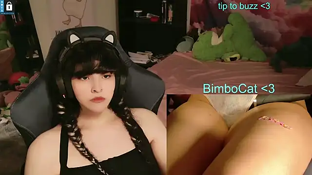BimboCat: вебкам-шоу