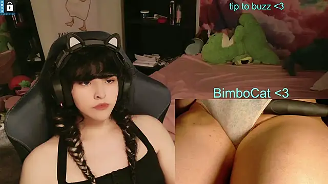 BimboCat – Kamerová šou