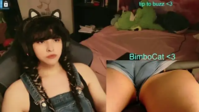 Show Webcam de BimboCat