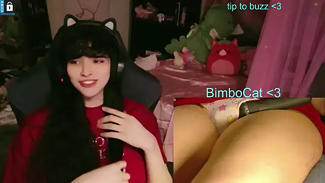 BimboCat: διαδικτυακό σόου στην κάμερα