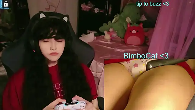 BimboCat Pertunjukan Webcam