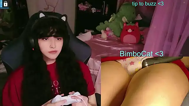 BimboCat Show in webcam