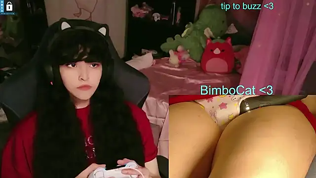 BimboCat Show Webcam