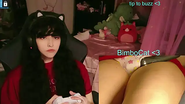 BimboCat webkamerás műsora