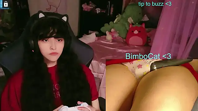 BimboCat webkamerás műsora