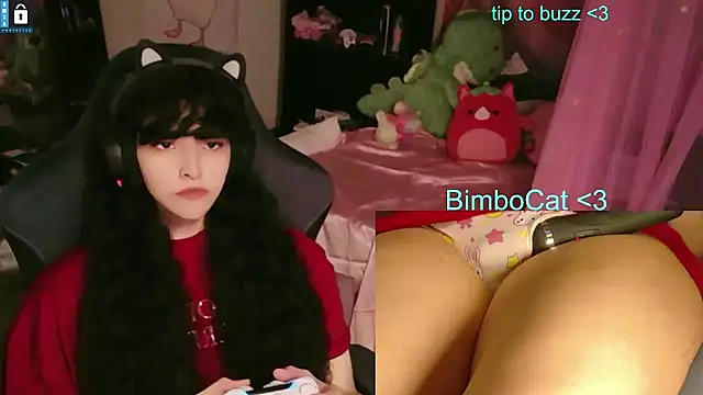 BimboCat Webcam Show