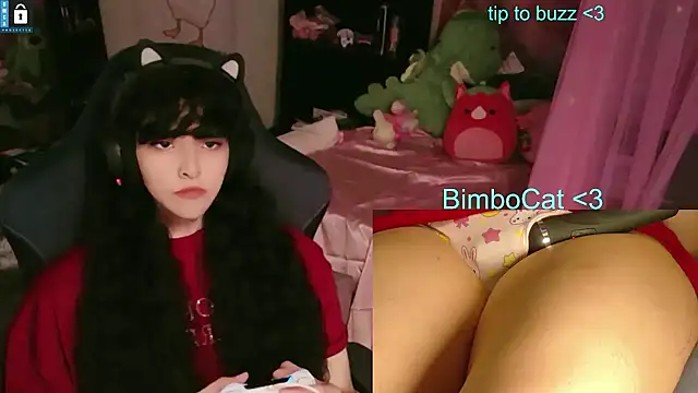 Show webcam de BimboCat