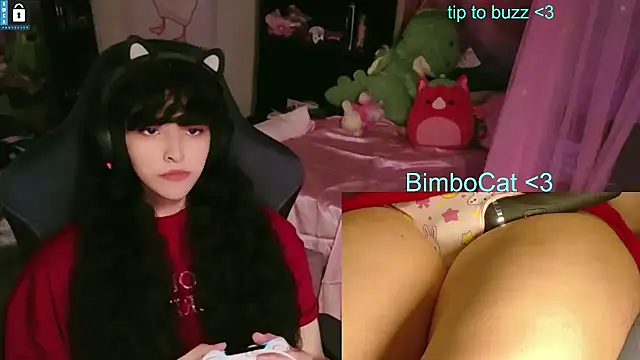 Show Webcam de BimboCat