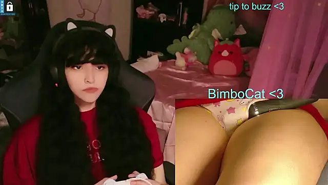 BimboCat – Kamerová šou