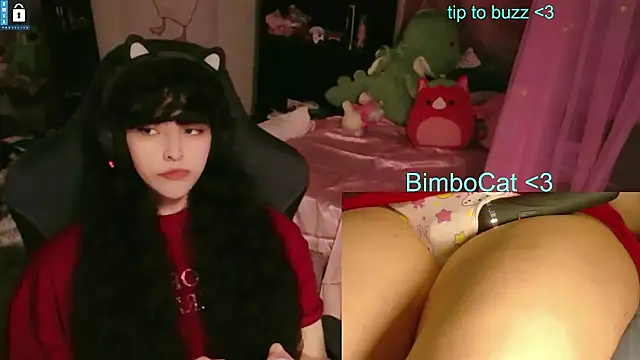 BimboCat Show Webcam