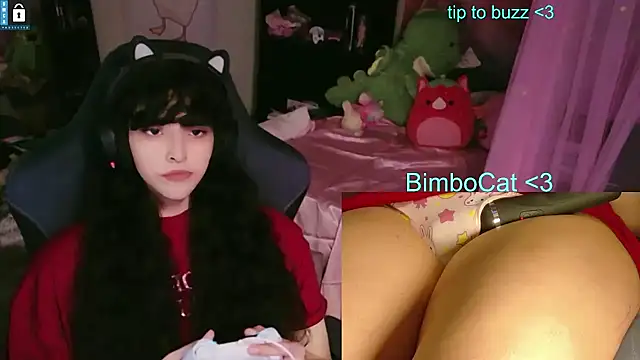BimboCat webkamerás műsora