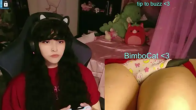BimboCat Шоу с уебкамера