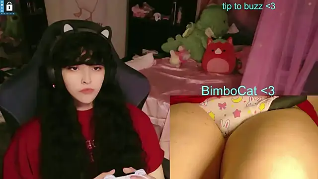 Show webcam de BimboCat