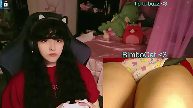 Pertunjukan Kamera Web BimboCat