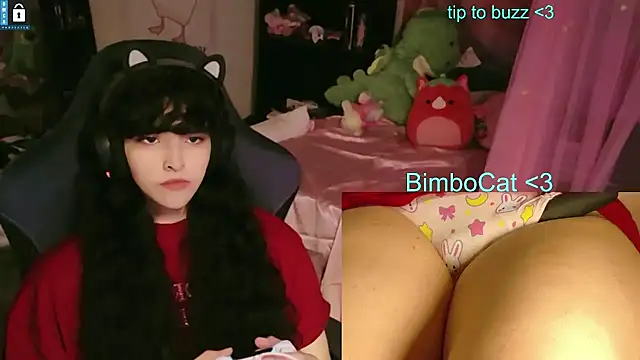 BimboCat's Webcam Show