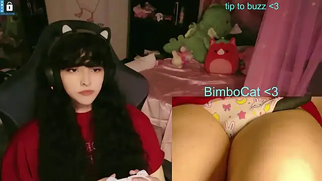 BimboCat Show in webcam
