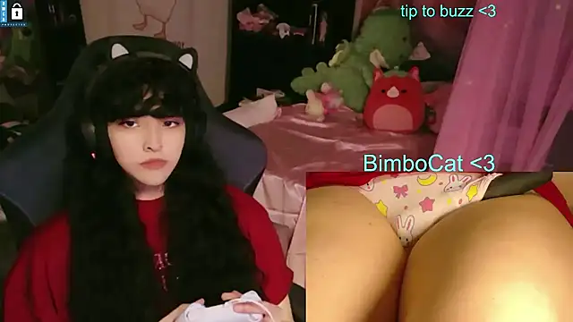 โชว์เว็บแคมของ BimboCat