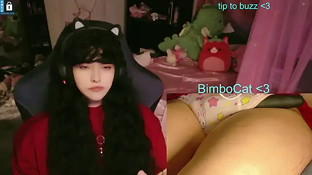 BimboCat ওয়েবক্যাম শো