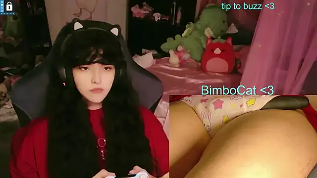BimboCat webkamerás műsora