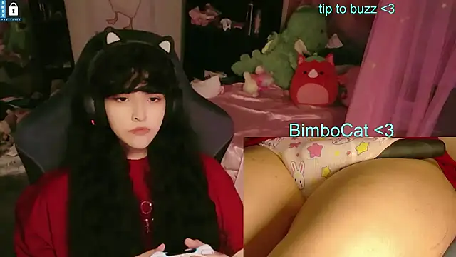 BimboCat webcam show