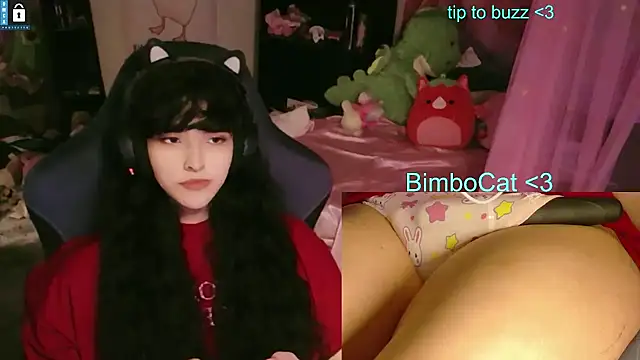 BimboCat 网络视讯表演