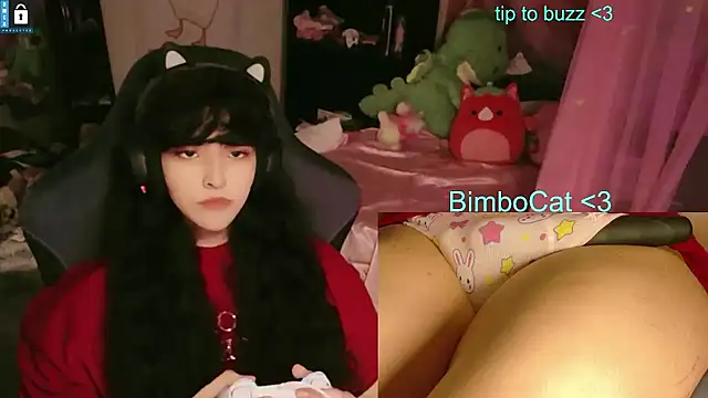 BimboCat Show in webcam