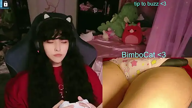 BimboCat 网络视讯表演