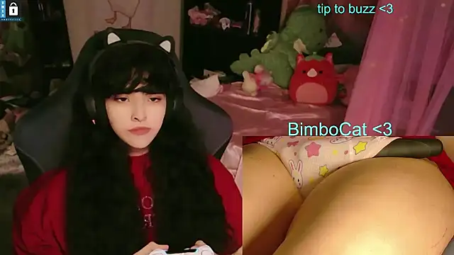 BimboCat webkamerás műsora