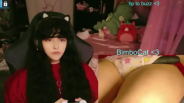 BimboCat Webcam-Show
