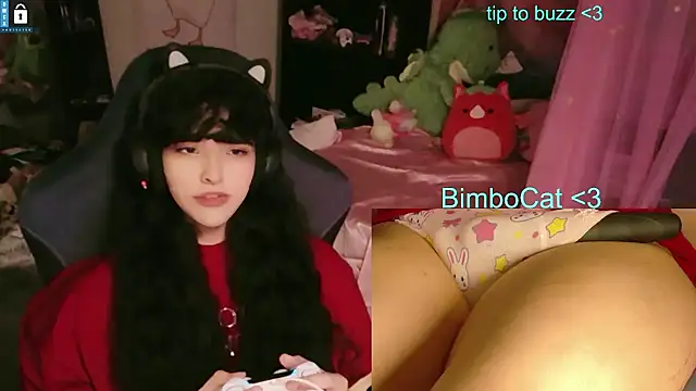 โชว์เว็บแคมของ BimboCat