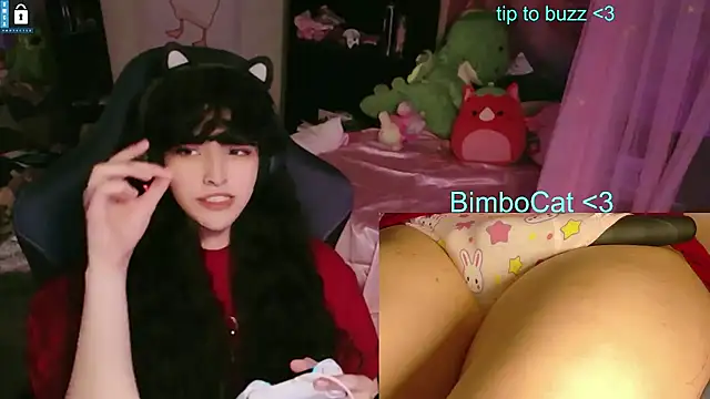 BimboCat webkamerás műsora