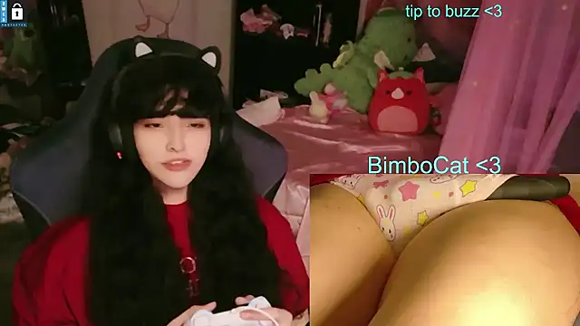 BimboCat ওয়েবক্যাম শো