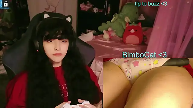 Webkamerová show BimboCat