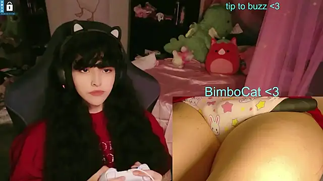 Pokazy przed kamerką – BimboCat