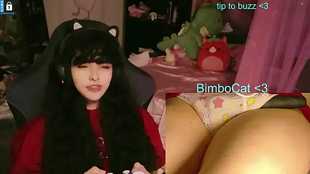 BimboCat's Webcam Show