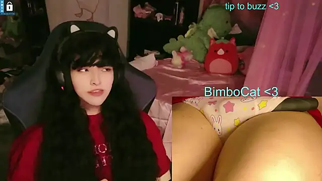 BimboCatのウェブカメラショー