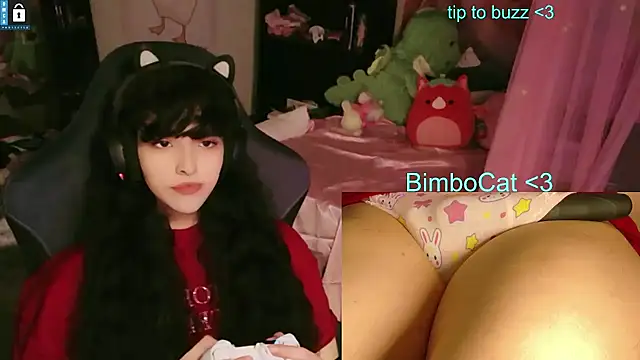 Show Webcam de BimboCat