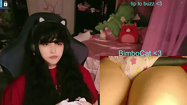 Вебкам-шоу BimboCat