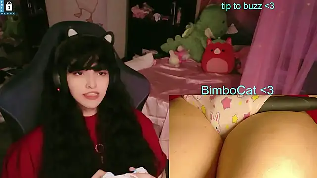 BimboCat Pertunjukan Webcam