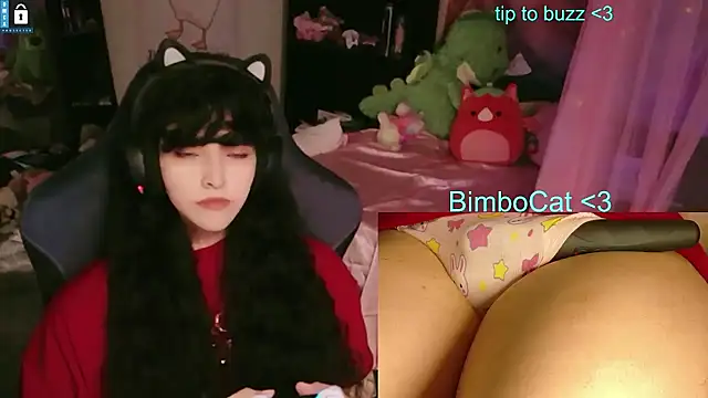 BimboCat Show in webcam