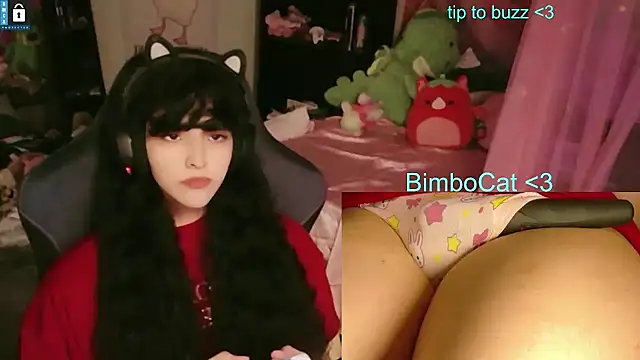 BimboCat: вебкам-шоу