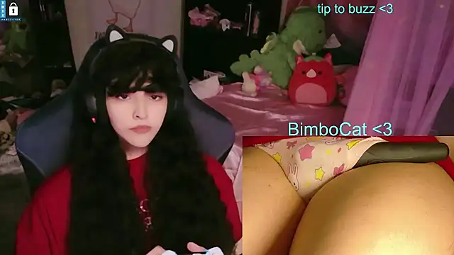BimboCat webkamerás műsora