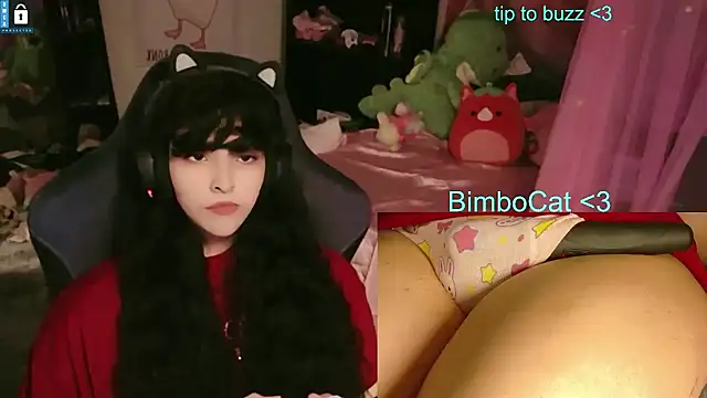 Show Webcam de BimboCat