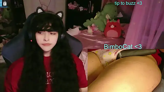 Show de BimboCat na webcam