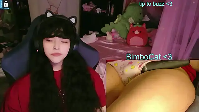 Pertunjukan Kamera Web BimboCat