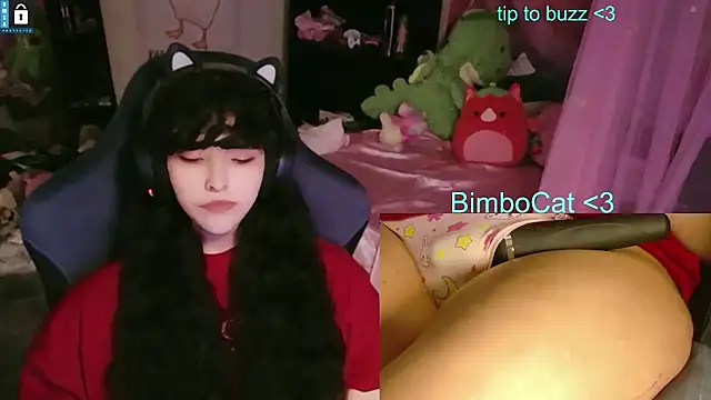 โชว์เว็บแคมของ BimboCat
