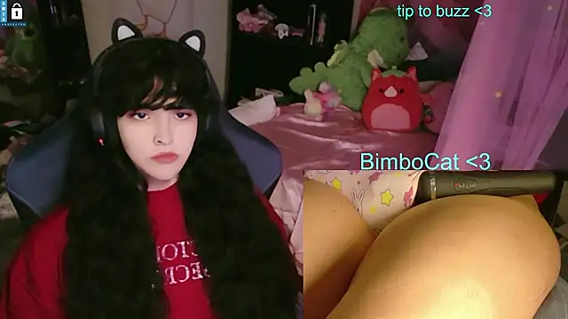 Show de webcam de BimboCat